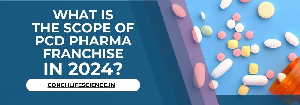 What is the scope of PCD Pharma Franchise in 2024?