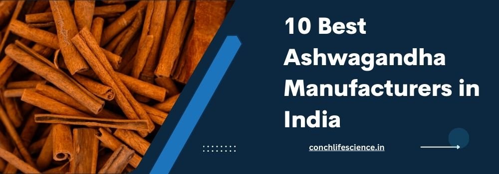 10 Best Ashwagandha Manufacturers in India