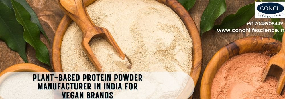 Plant-Based Protein Powder Manufacturer in India for Vegan Brands