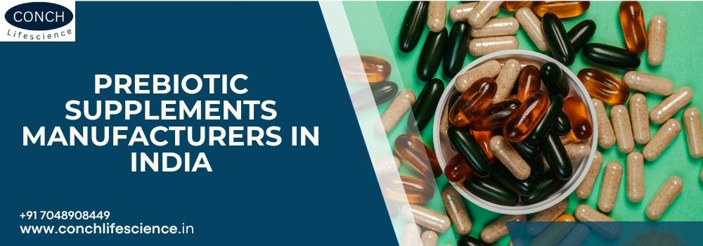 Top Prebiotic Supplements Manufacturers in India